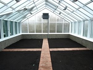 IMG_3890-трансформований