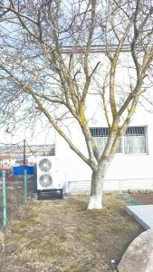 зображення_viber_2024-02-07_14-13-10-477