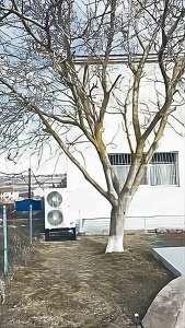 Інверторний тепловий насос Raymer DC RAY-15DS1-EVI_апскейл_Силс