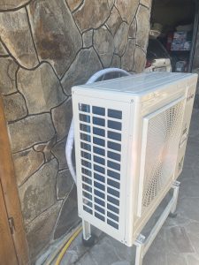 Raymer RAY-10DS1-EVI