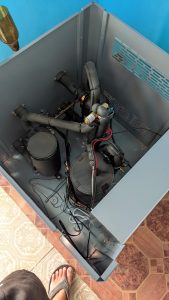 raymer-ray-07ww-4-scaled