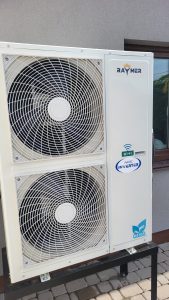 raymer-ray-15ds1-evi-2-scaled