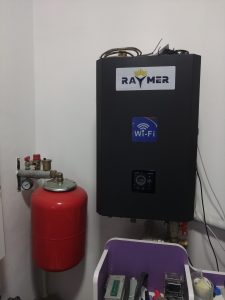 Raymer RAY-15DS2-EVI (220V) black 4