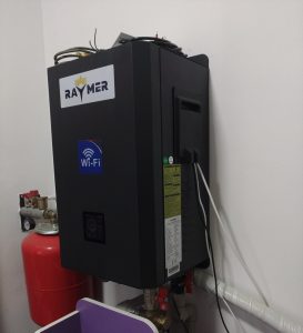 Raymer RAY-15DS2-EVI (220V) black 5