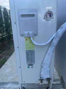 Raymer RAY-10DS1-EVI (220V)