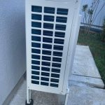 Raymer RAY-10DS1-EVI (220V)
