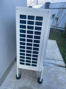 Raymer RAY-10DS1-EVI (220V)