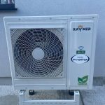 Raymer RAY-10DS1-EVI (220V)